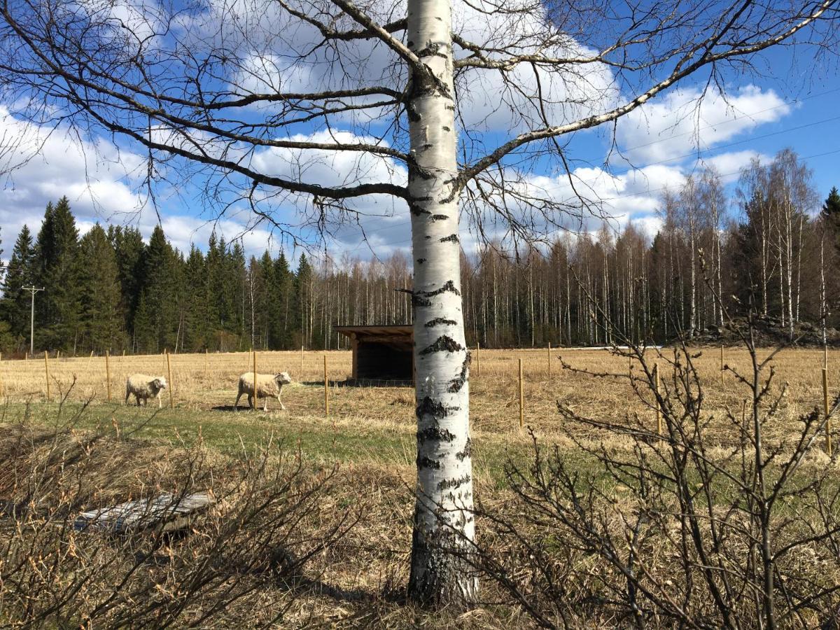 Villa Kivirannan Tupa Ylivieska Exterior foto